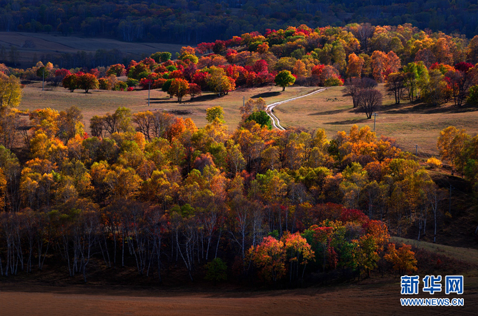 《乌兰布统草原的秋天》