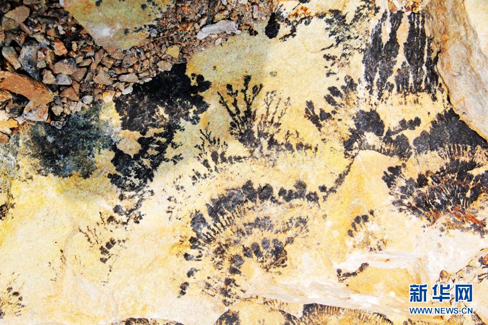 山东蓬莱岩石壁画