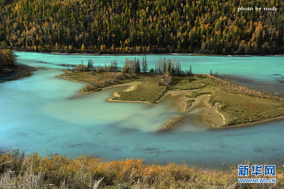 《喀纳斯卧龙湾 》