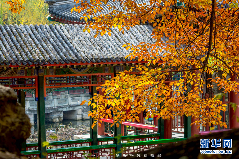 《颐和园不一样的“秋”》