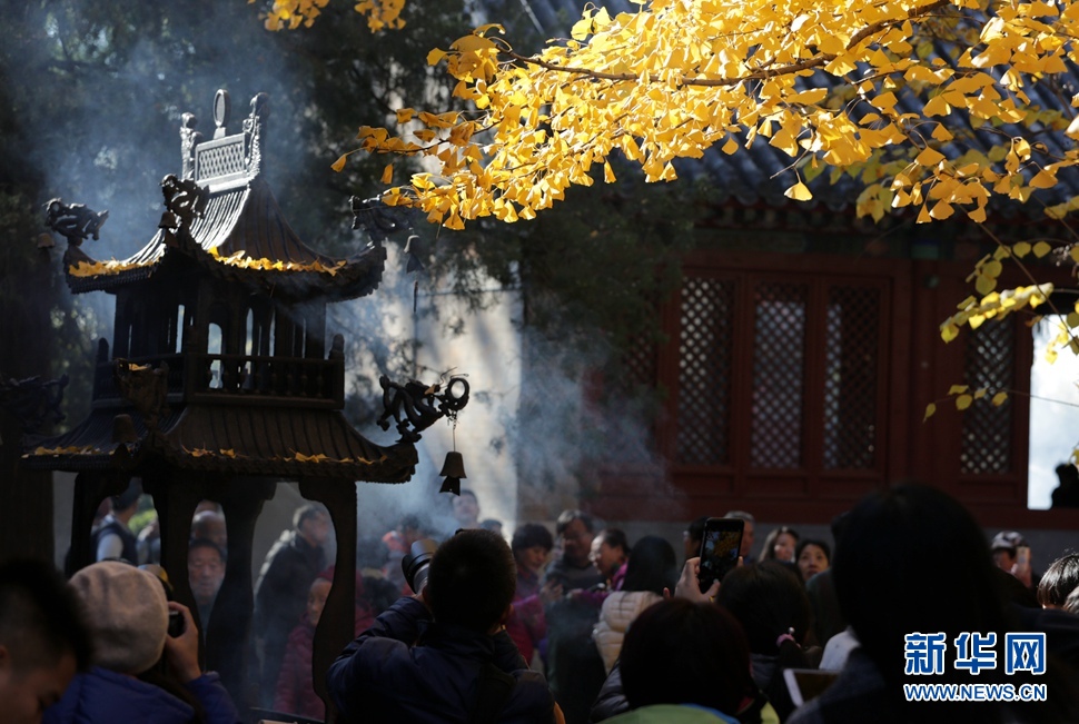 《周末赏秋——京北红螺寺》