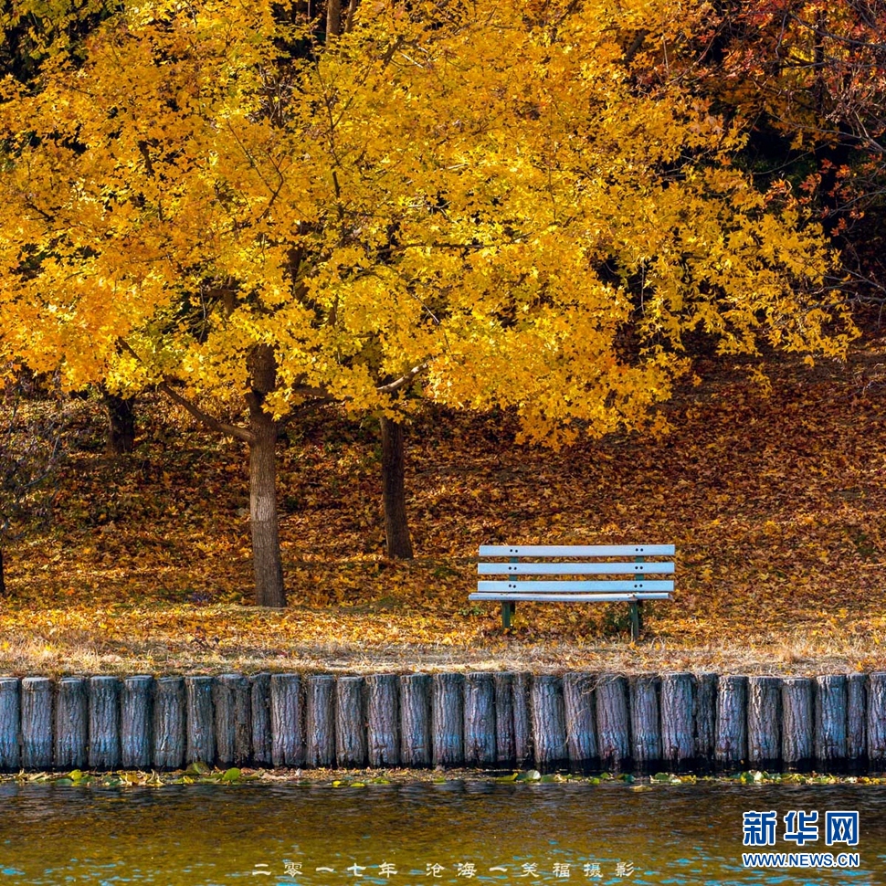 《立冬了秋色还在》