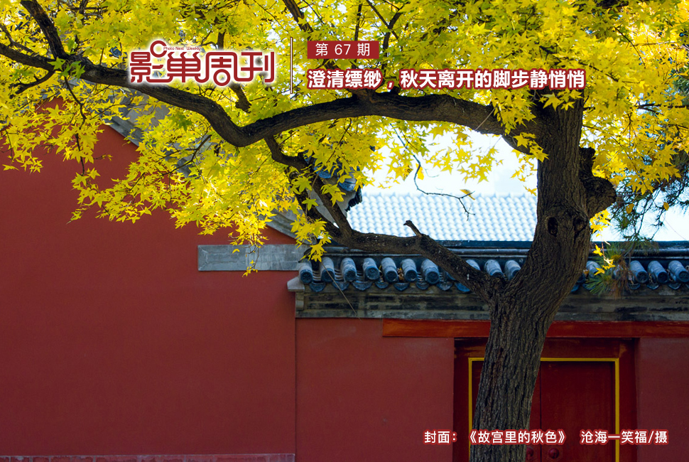 故宫里的秋色