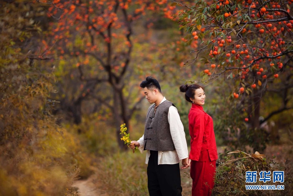 红个彤彤儿的柿子，热个乎乎儿的爱