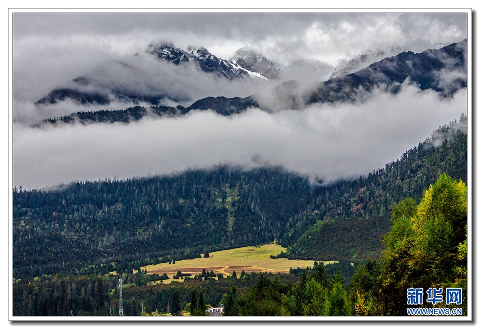 鲁朗林海入画游