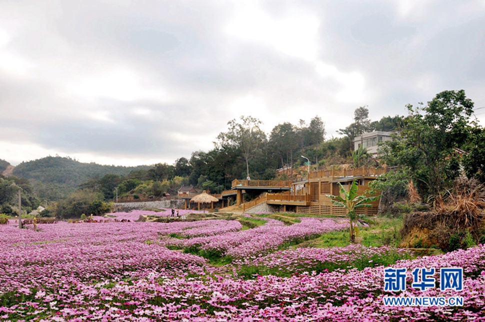 偶遇美女花更艳