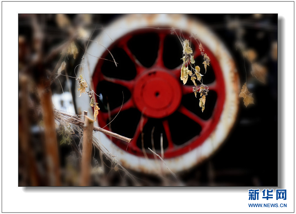 《遗世流年抹沧桑》