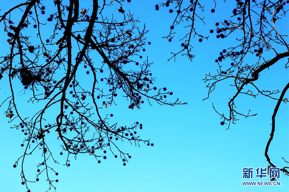 《隆冬暖阳下西山掠影》