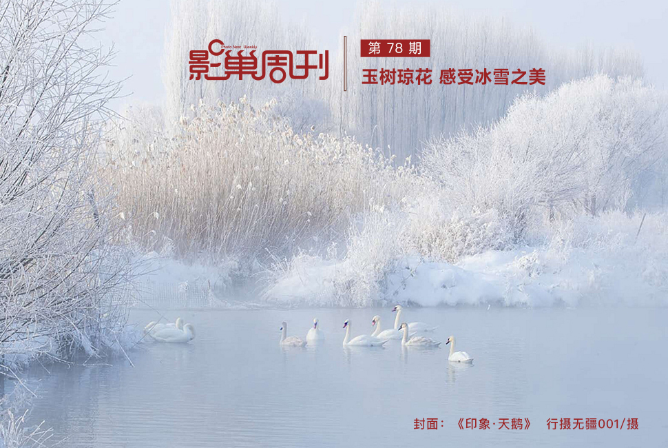 《印象·天鹅》