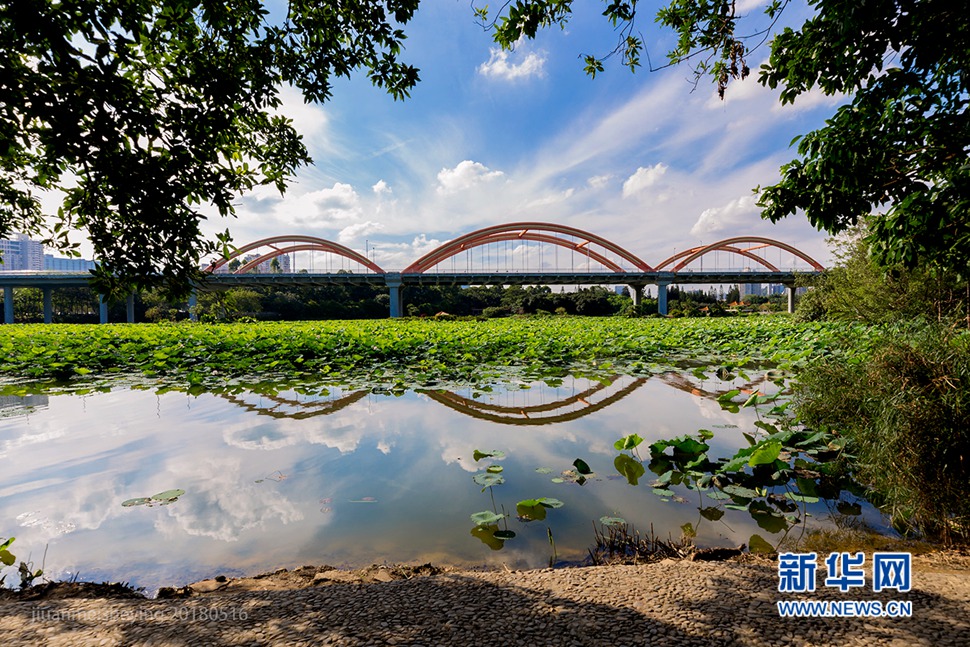 深圳百年罗湖桥