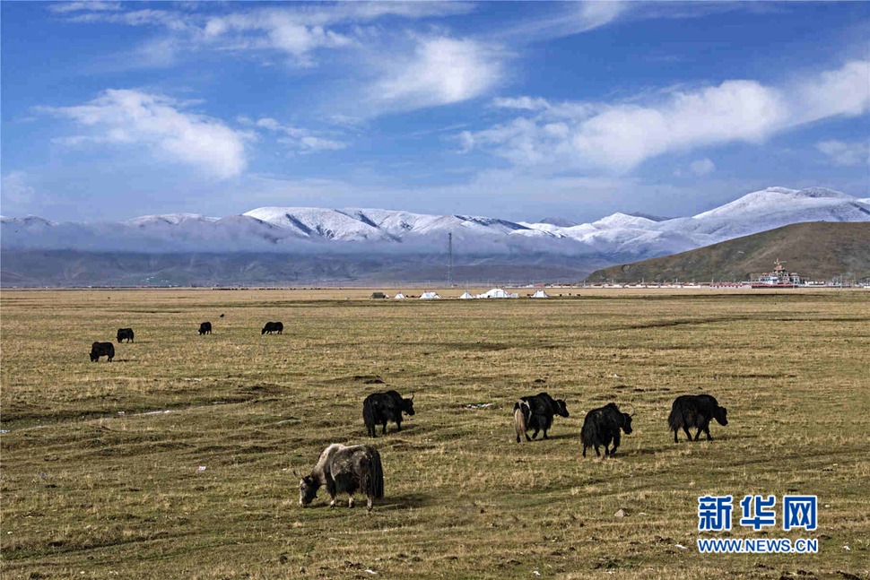 行驾山河 邂逅美丽