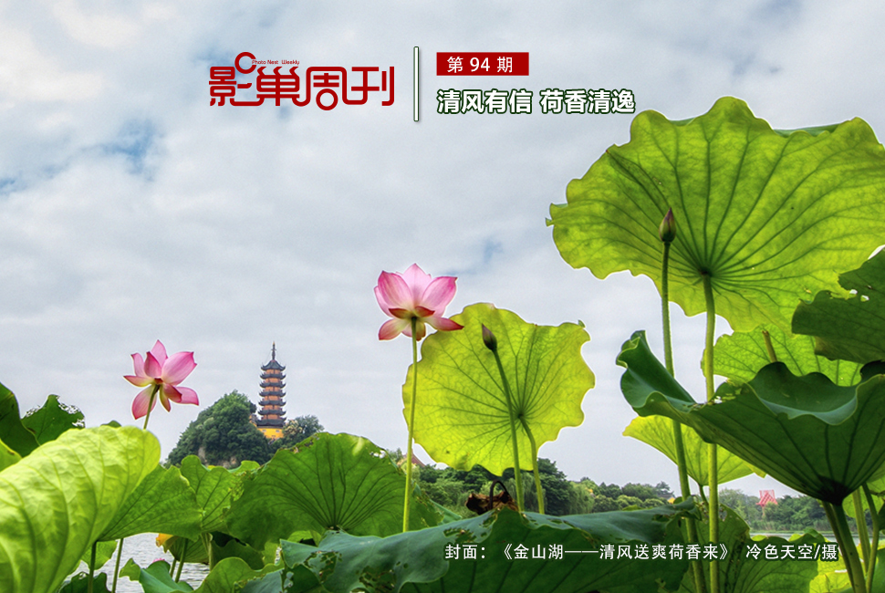 金山湖——清风送爽荷香来