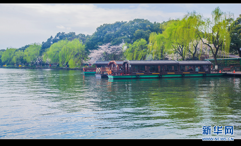 听风西湖柳，闻香龙井茶
