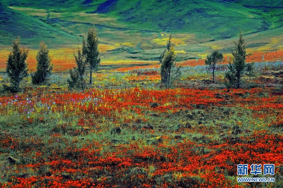 行驾山河 邂逅美丽