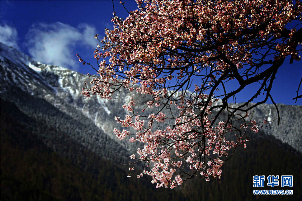 行驾山河 邂逅美丽