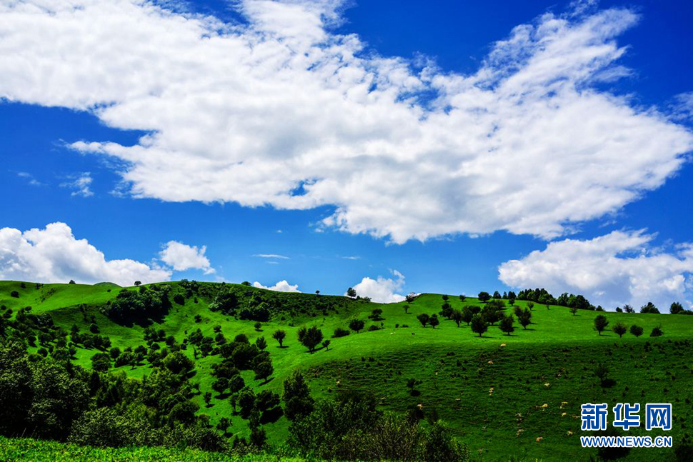空中花园——那拉提大草原