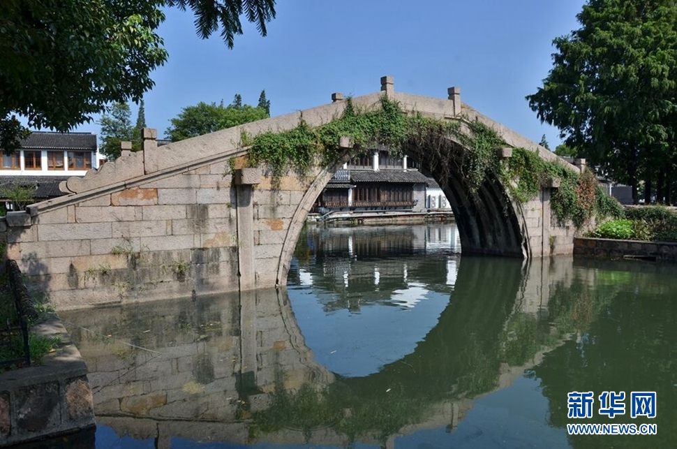 江南桥乡金泽掠影