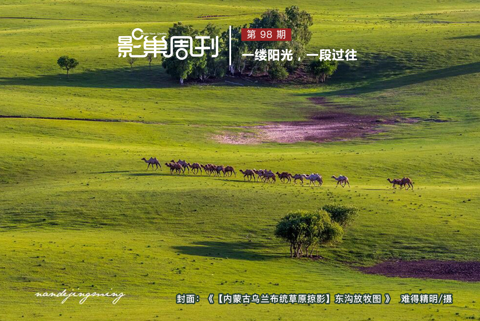 【内蒙古乌兰布统草原掠影】东沟放牧图