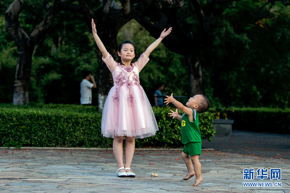 生命中的小精灵