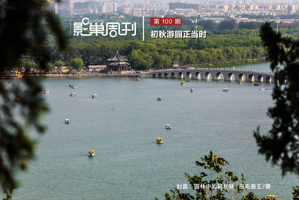 园林中的初秋味