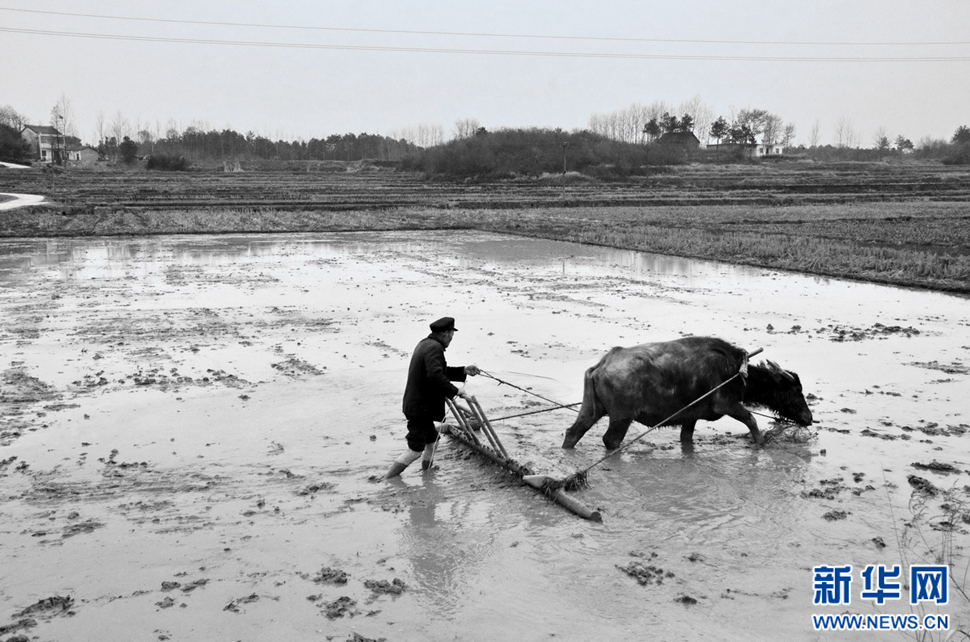 农民工老吴镜头下农村改革开放40周年