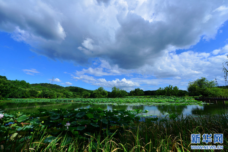 秋高气爽，行摄八挂田