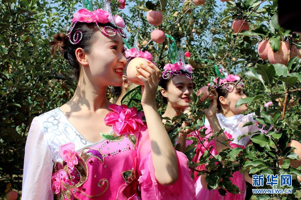 灵宝苹果花仙子