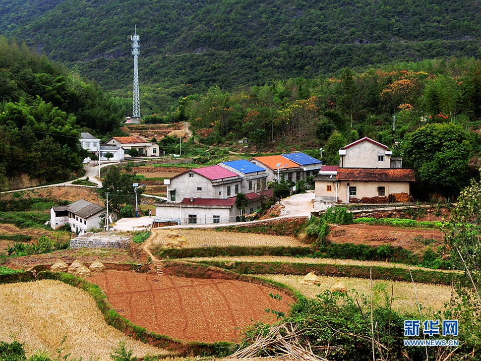 湘北八月山乡随拍