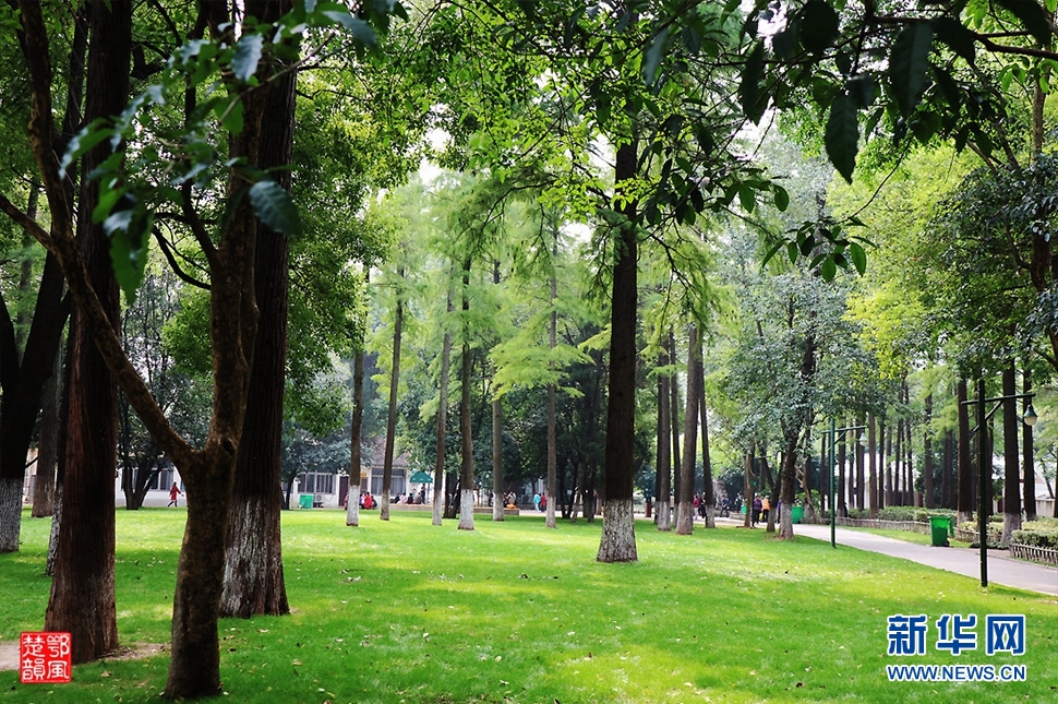 秋游汉口解放公园