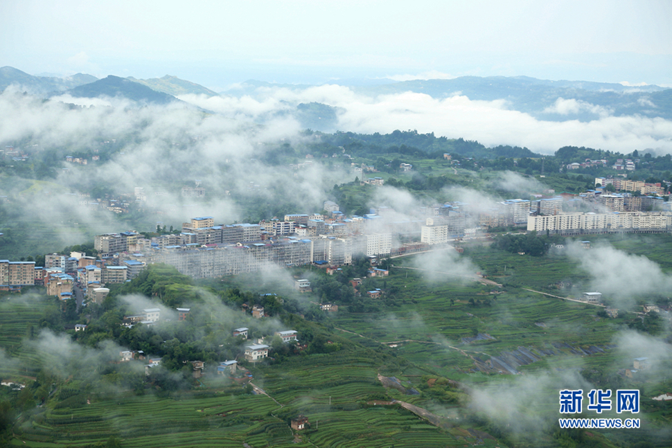 《云雾缭绕梯田美》