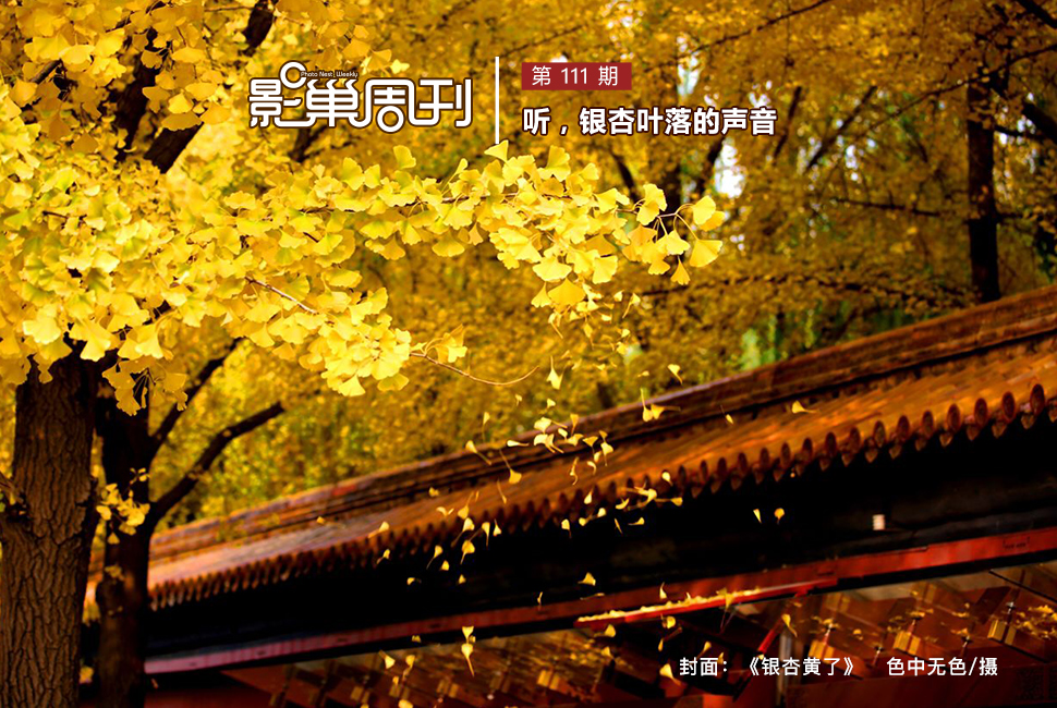 《银杏黄了》