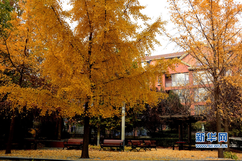 《无尽画意镜头中》