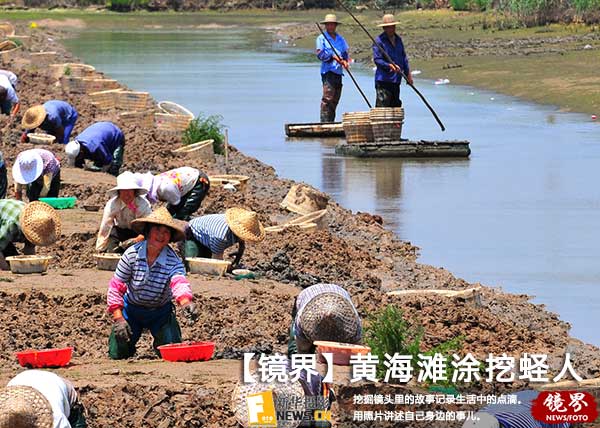 【镜界】黄海滩涂挖蛏人