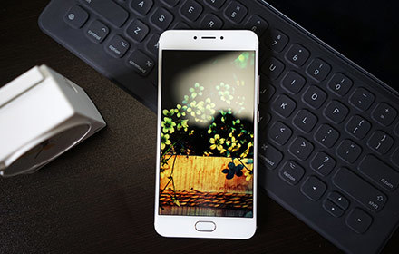 2012年2月刊主题&mdash;&mdash;新年图片