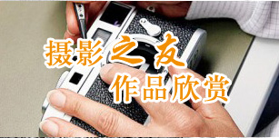摄影之友作品专题
