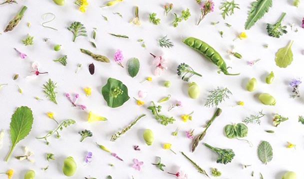 春天到 快来下载蔬果当桌面