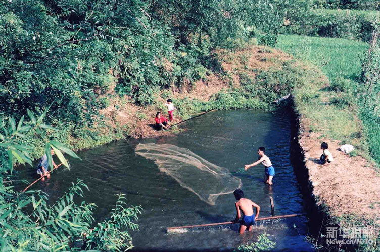 刘卫兵 回望20年（3）