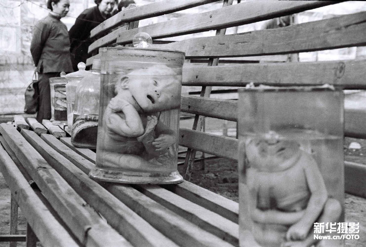 刘卫兵 回望20年（25）