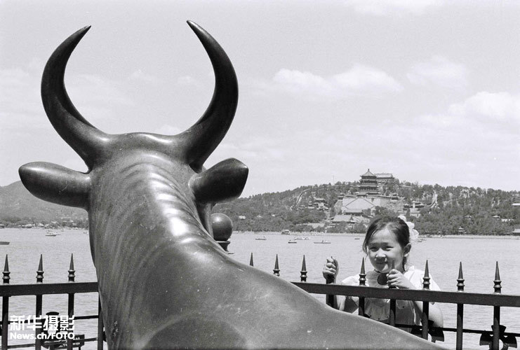 刘卫兵 回望20年（28）