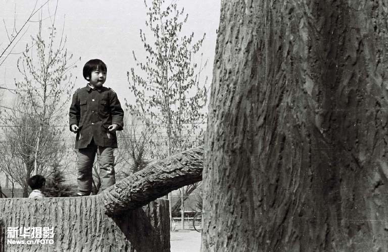 刘卫兵 回望20年（33）