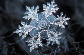 用佳能小DC拍摄雪花微距照片