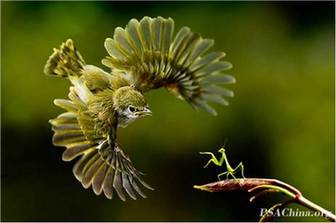 再献视觉文化盛宴——第二届PSAChina国际摄影展即将开幕