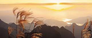 “美之润心”余慧文摄影作品展