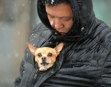 【镜界】我的大学：花花世界