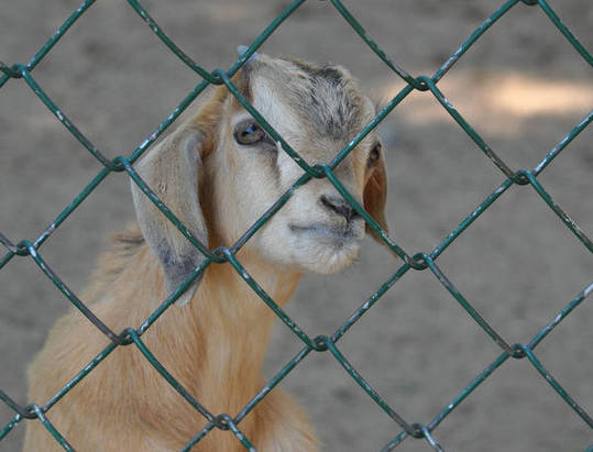 【镜界】我心谁知