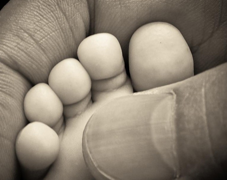 （三等奖）感动