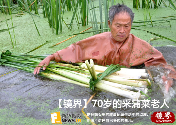 【镜界】采蒲菜的老人