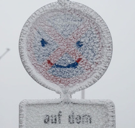 实拍冰雪袭击下的欧洲：自然的鬼斧神工