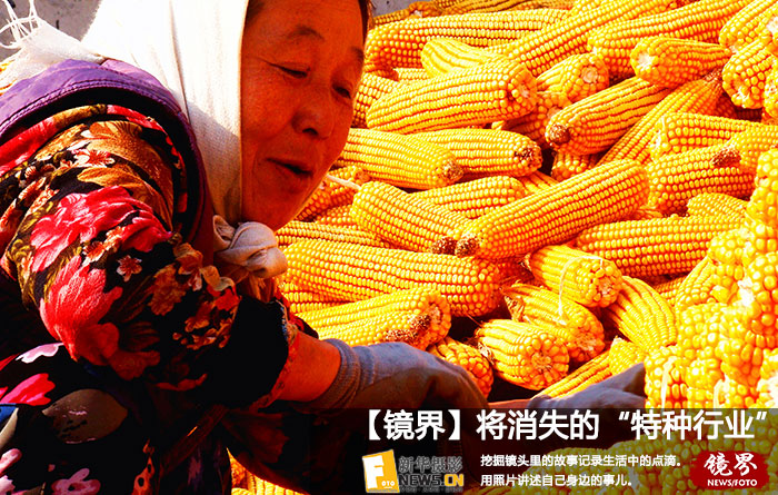 【镜界】大地情怀：收获的喜悦