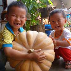 农家孩子乐悠悠